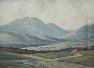Among The Mountains Nr Westport Co Mayo Among The Mountains Nr Westport Co Mayo