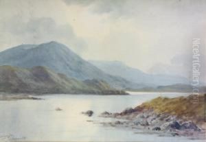 A Grey Day, Connemara by Douglas Alexander