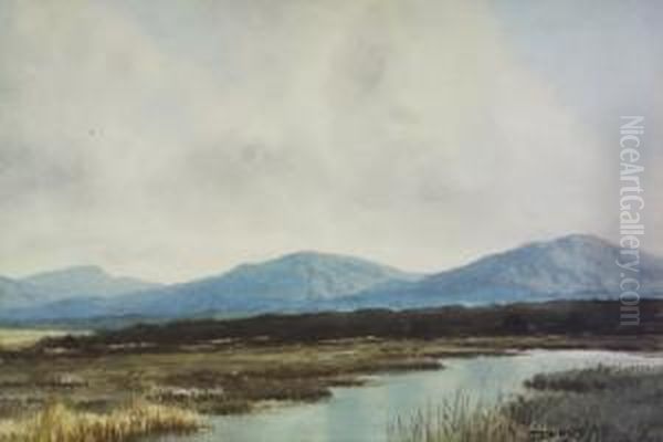 Bog Landscape - view 1