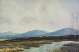 Bog Landscape