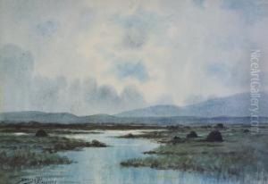 West Of Ireland Bogland Scene