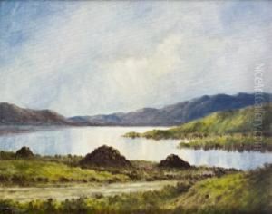 Connemara Landscape by Douglas Alexander