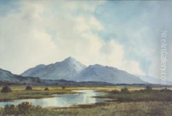 West Of Ireland Lake And Mountain Landscape - view 1