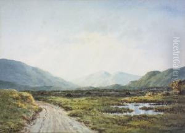 Marshy Landscape - view 1