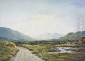 Marshy Landscape