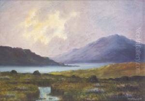 Evening, Connemara