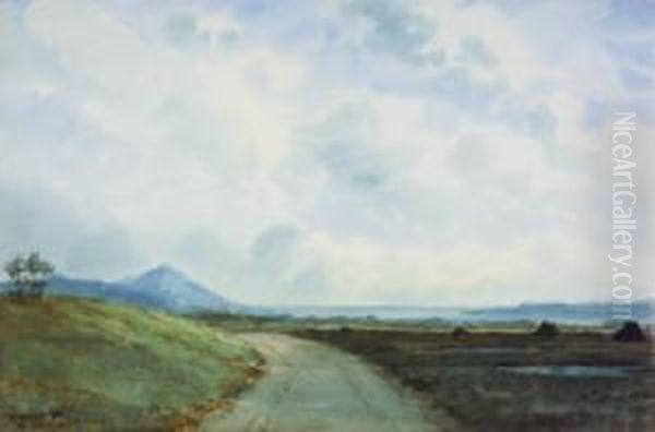 The Road To Leenane, Connemara - view 1
