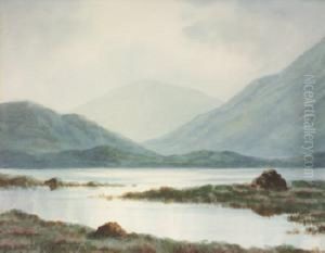 Evening Light, Connemara by Douglas Alexander