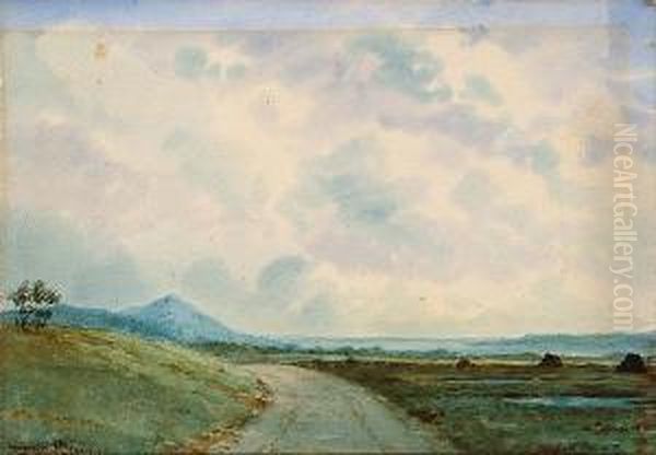 Connemara Landscape - view 1