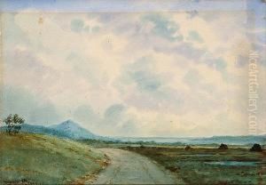 Connemara Landscape by Douglas Alexander