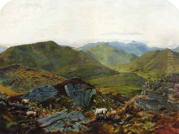 Landscape in the Lake District - view 1