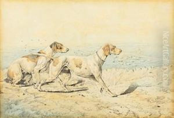 Gun Dogs And Hounds - view 1