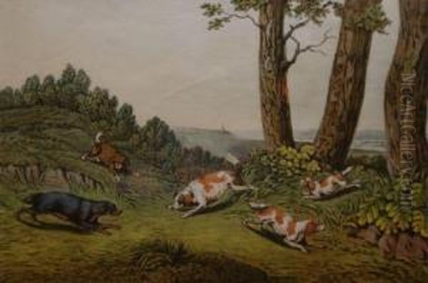 Spaniels - view 1