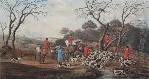 Tree-ing The Fox