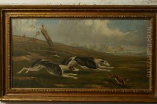 Hare Coursing - view 1