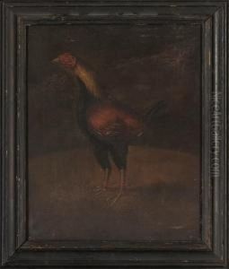 A Prize Fighting Cock; And Another Similar by Henry Thomas Alken