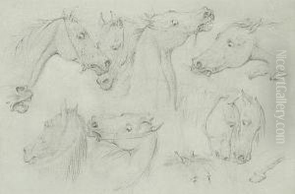 Horse Studies: Two - view 1