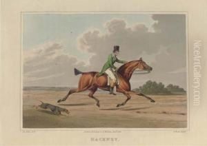 The National Sports Of Great Britain by Henry Thomas Alken