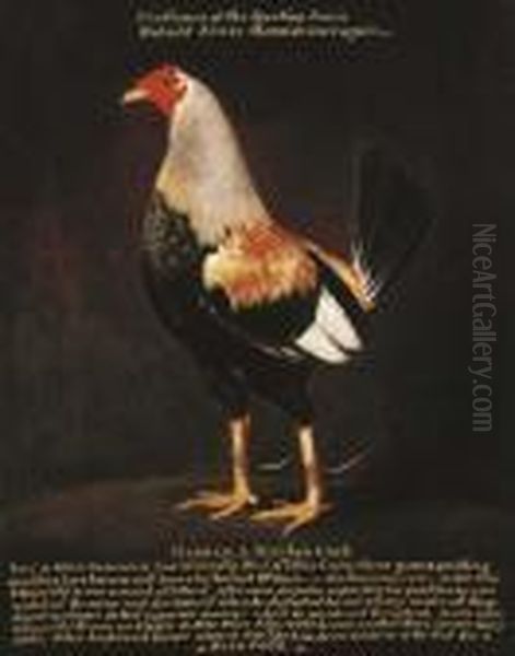 Madman, A Birchen Cock - view 1
