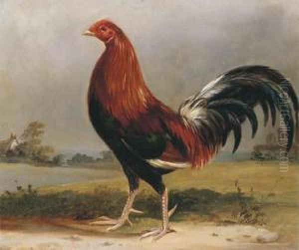 A Fighting Cock In A Landscape - view 1