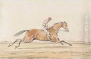 Lord Zetland's Skirmisher