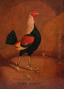 King Henry, A Fighting Cock by Henry Thomas Alken