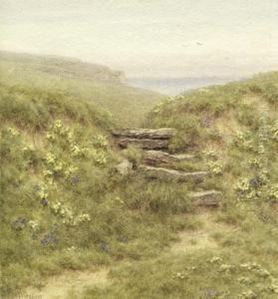 Wiesenlandschaft An Der Kuste Von Donegal - view 1