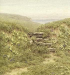 Wiesenlandschaft An Der Kuste Von Donegal by Helen Mary Elizabeth Allingham