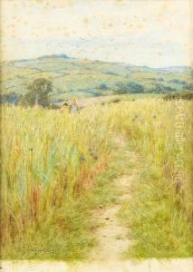 Through The Corn, Downton, Wilts