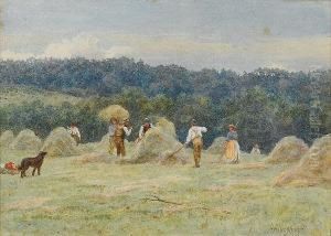 The Hayfield