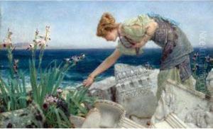 Among The Ruins