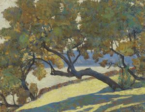 Le Grand Arbre Au Bord De La Mer