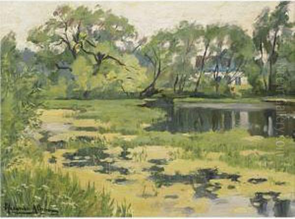 The Overgrown Pond - view 1