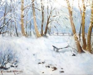 Sous-bois Enneige