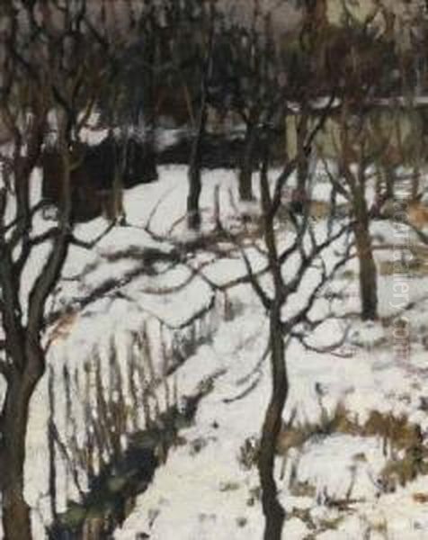 Paysage De Sous Bois Enneige - view 1