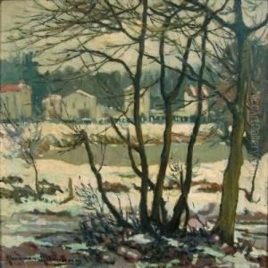 Paysage De Neige