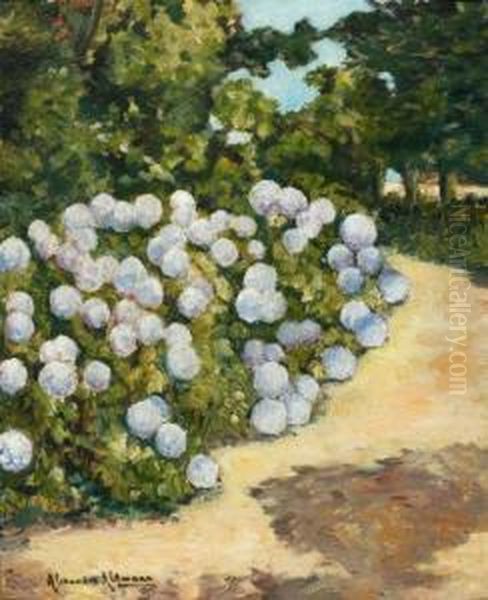 Le Massif D'hortensias - view 1