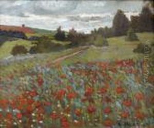 Champ De Coquelicots
