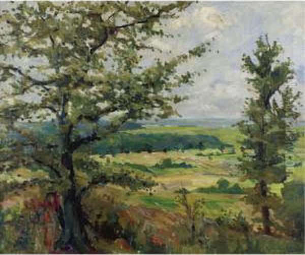 Summer Landscape - view 1