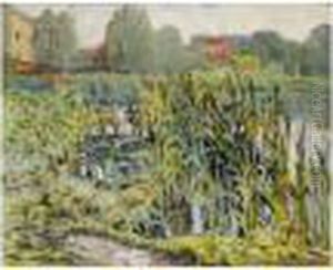 Rushes By The River
