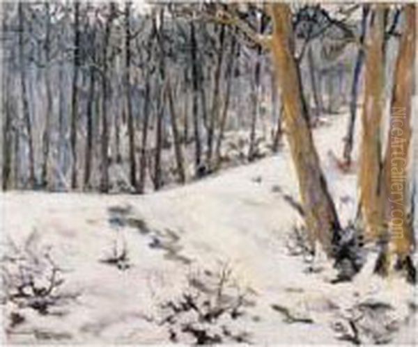 Sous-bois Enneige - view 1