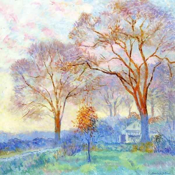 Elms at Sunrise - view 1