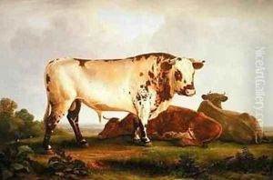 Bull by John Glover
