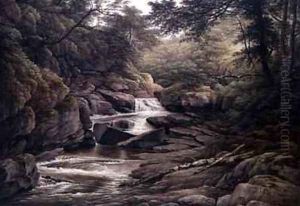 Rhiadr Ddu near Maentwrog North Wales by John Glover