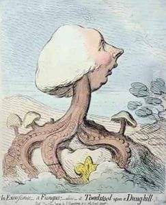 An Excrescence A Fungus Alias A Toadstool upon a Dung hill by James Gillray