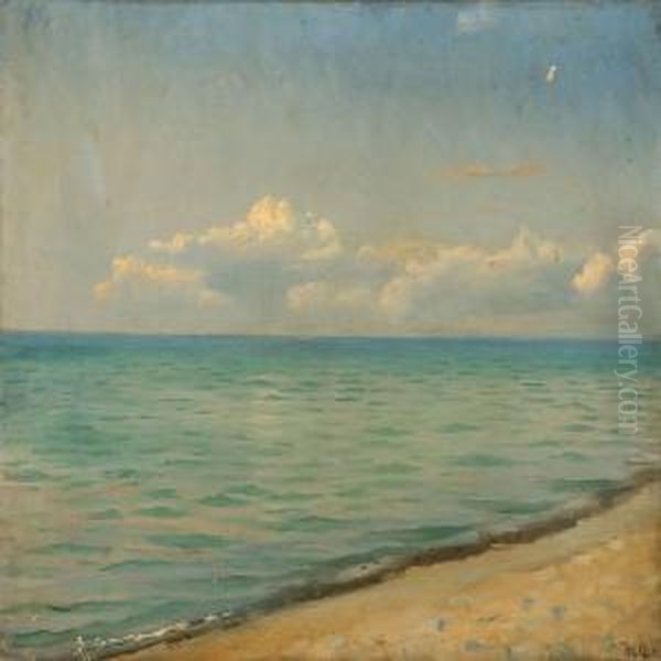 Coastal Scene From Skagen, Denmark - view 1