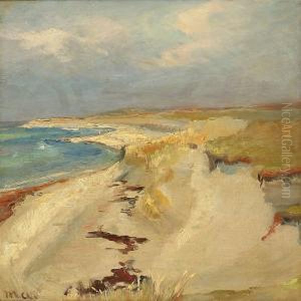 Coastal Scene From Skagen Beach, Denmark - view 1