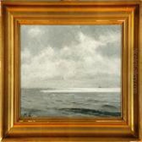 Coastal Scenery Atskagen Beach, Denmark - view 1