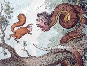 The Republican Rattle Snake fascinating the Bedford Squirrel by James Gillray
