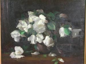 White Niphetos Roses White Niphetos Roses